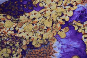 фиолетовый